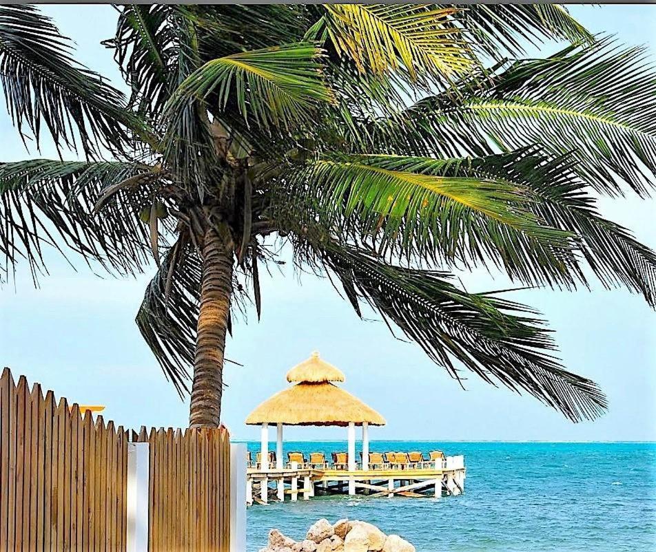 فيلا Velento Partial Ocean View Penthouse #7 كاي كولكر المظهر الخارجي الصورة